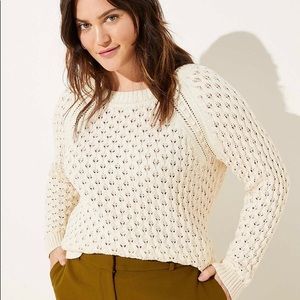 NWT LOFT PLUS BOBBLE POINTELLE SWEATER CEAM